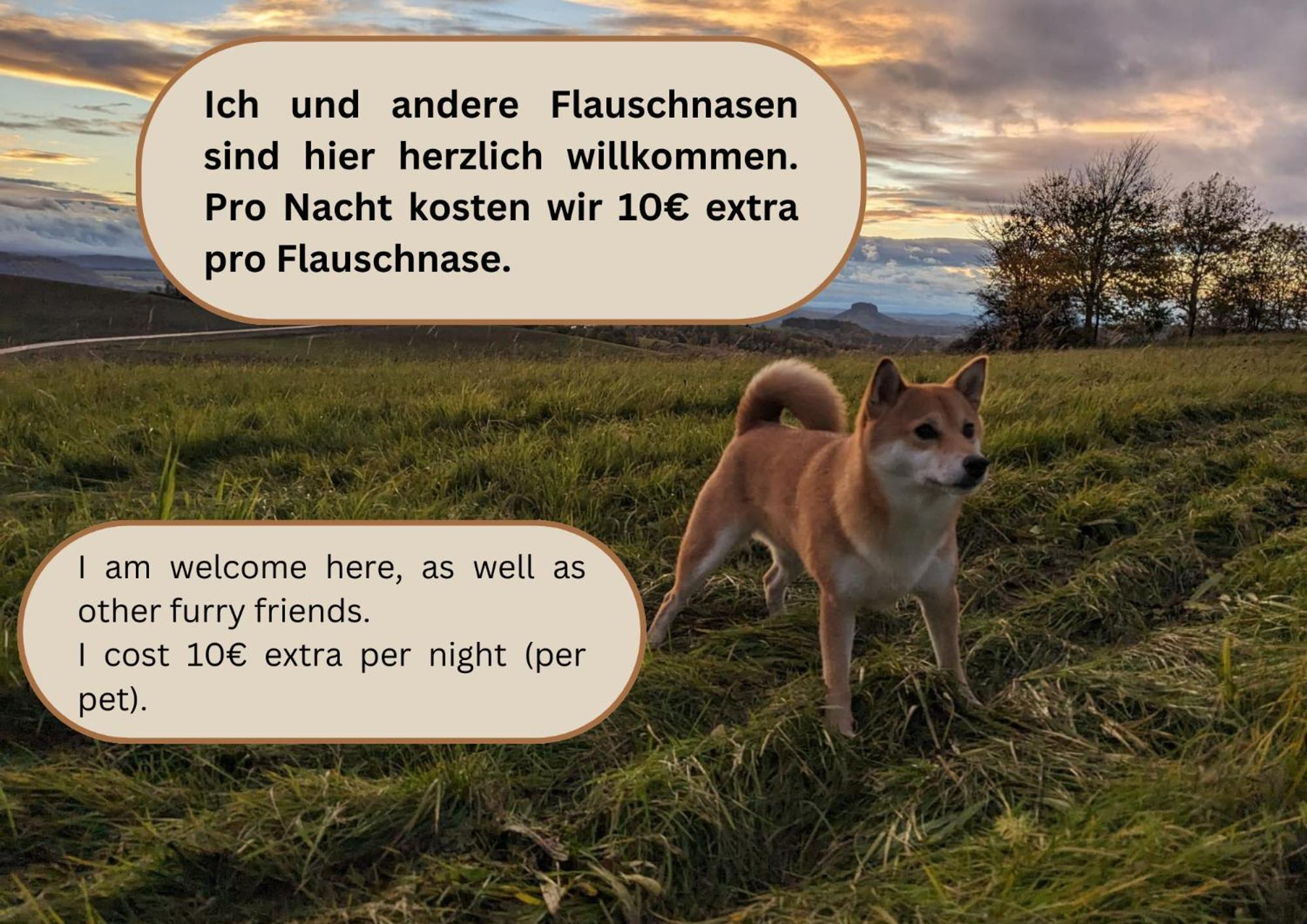 S1 - Urlaubsmagie - Direkt Loswandern, Bis Zu 4P Sebnitz Zewnętrze zdjęcie